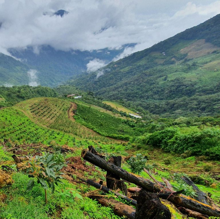 Westfalia Shaping the Sustainable Future of Food