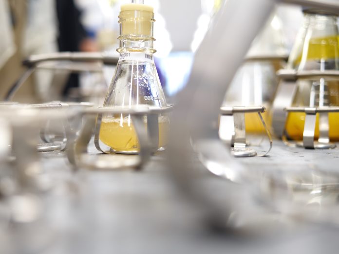 Global Clean-Tech Majors Bioweg and Ginkgo Bioworks to Combat Microplastic Pollution with Bio-Based Materials