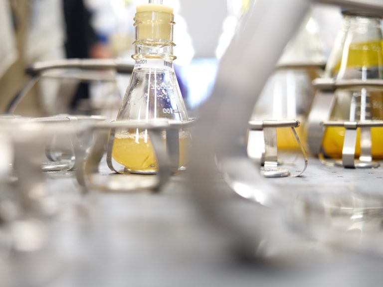 Global Clean-Tech Majors Bioweg and Ginkgo Bioworks to Combat Microplastic Pollution with Bio-Based Materials