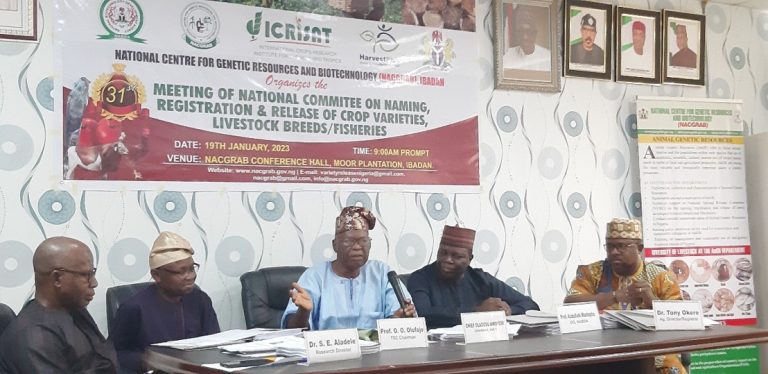 Three Sorghum and Three Pearl Millet Varieties Developed by ICRISAT in Nigeria