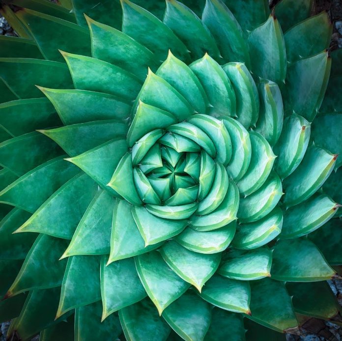 Clariant’s science of sustainable beauty.