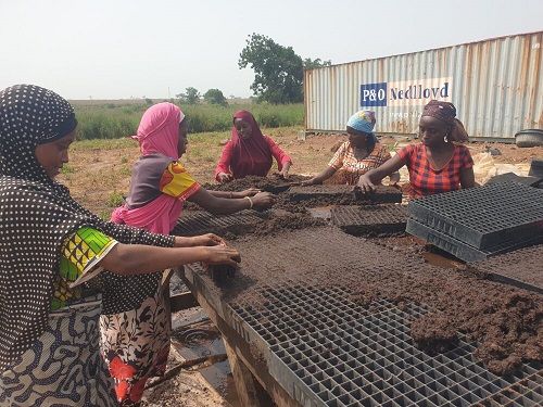 Tomato Jos Wins The 2024 SAVE FOOD Project Competition